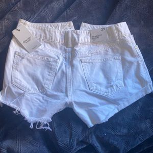 Concert shorts